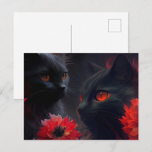 Kat Briefkaart (Voorkant / Achterkant)