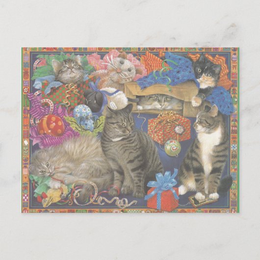 Kat Briefkaart (Voorkant)