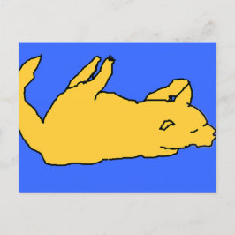 Kat briefkaart