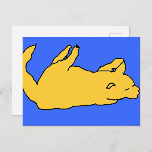 Kat briefkaart (Voorkant / Achterkant)