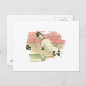   Kat Briefkaart (Voorkant / Achterkant)