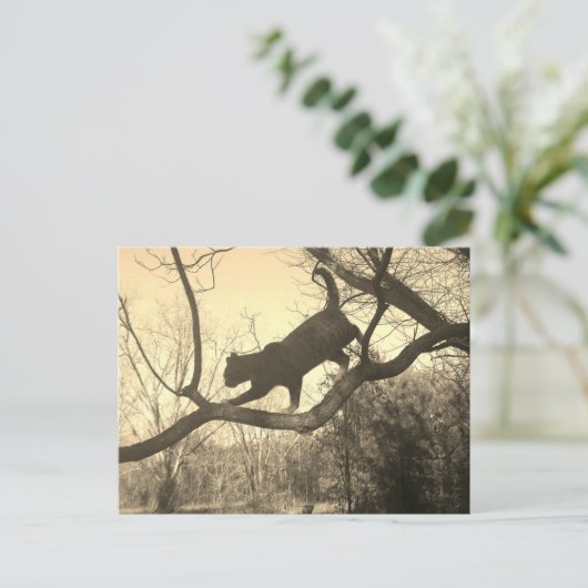 Kat Briefkaart (Staand voorkant)