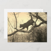 Kat Briefkaart (Voorkant / Achterkant)