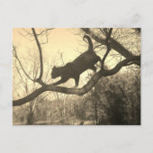 Kat Briefkaart (Voorkant)