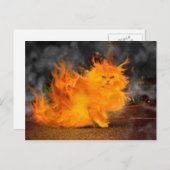 kat briefkaart (Voorkant / Achterkant)