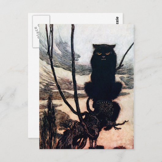 Kat Briefkaart (Voorkant / Achterkant)