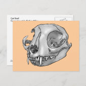 kat briefkaart (Voorkant / Achterkant)