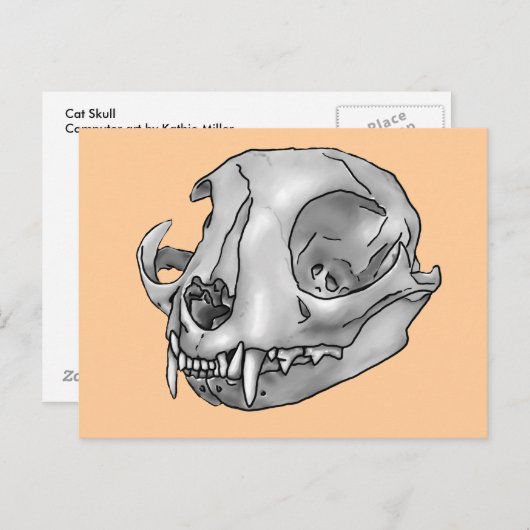 kat briefkaart (Voorkant / Achterkant)