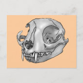 kat briefkaart (Voorkant)