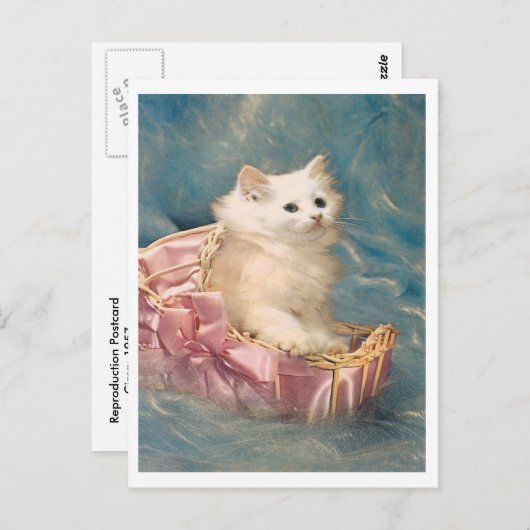  Kat Briefkaart (Voorkant / Achterkant)