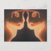 Kat Briefkaart (Voorkant)