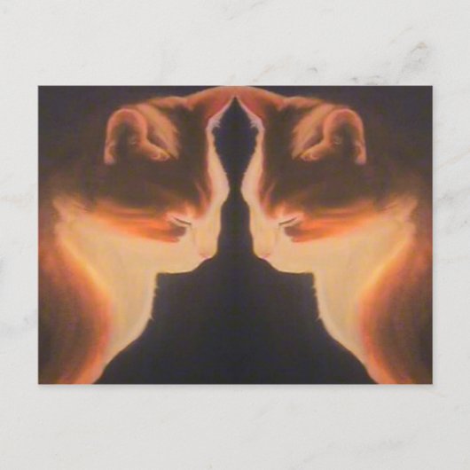 Kat Briefkaart (Voorkant)