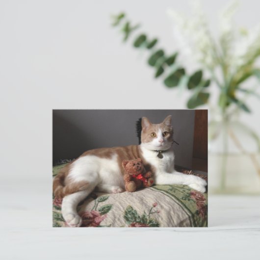 Kat Briefkaart (Staand voorkant)