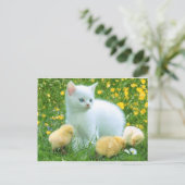 kat briefkaart (Staand voorkant)