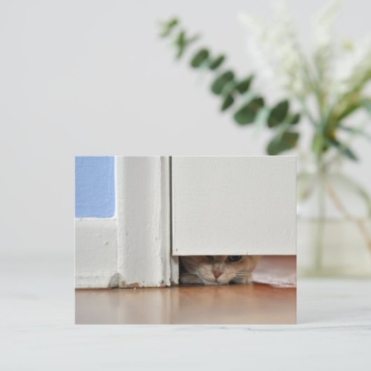 Kat Briefkaart (Staand voorkant)