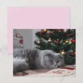 kat briefkaart (Voorkant / Achterkant)