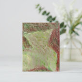 Kat Briefkaart (Staand voorkant)