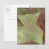 Kat Briefkaart (Voorkant / Achterkant)