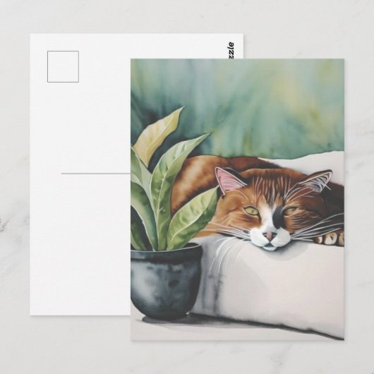 kat briefkaart (Voorkant / Achterkant)