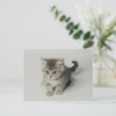 KAT BRIEFKAART (Staand voorkant)