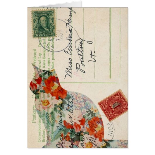  Kat Briefkaart digitale kunst (Voorkant)