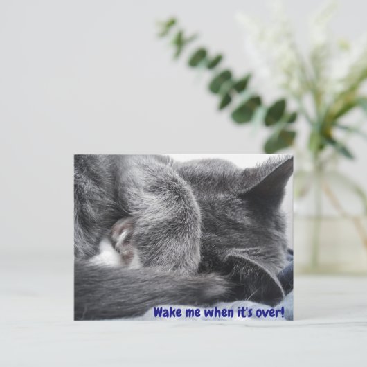 Kat Briefkaart ingewikkeld (Staand voorkant)