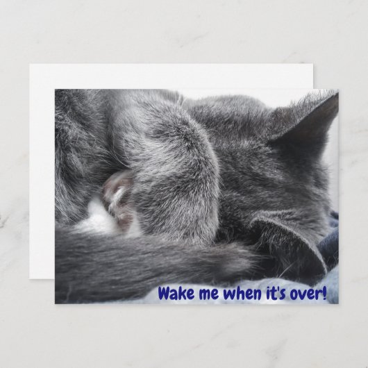 Kat Briefkaart ingewikkeld (Voorkant / Achterkant)