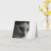 Kat-briefkaart Kaart (Gele Bloem)