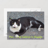 Kat-Briefkaart met gezegde van het humourus Briefkaart (Voorkant / Achterkant)