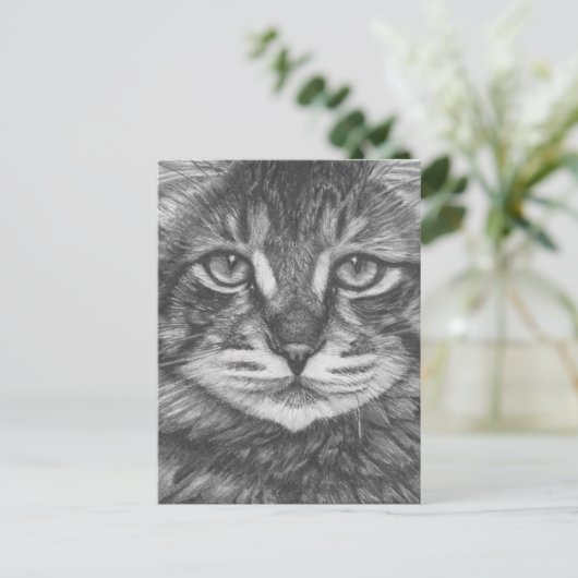 Kat briefkaart. Potlood tekening Briefkaart (Staand voorkant)