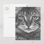 Kat briefkaart. Potlood tekening Briefkaart (Voorkant / Achterkant)