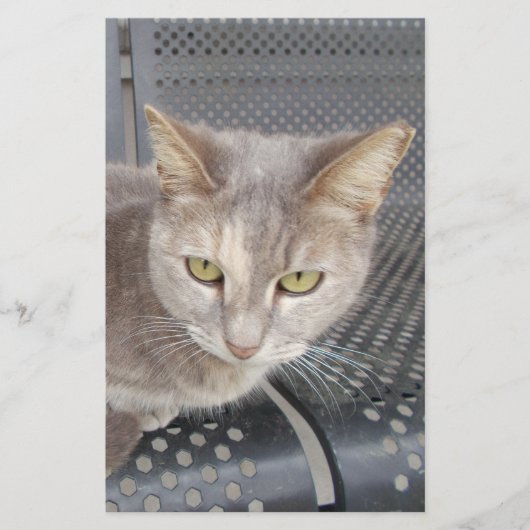 Kat Briefpapier (Voorkant)