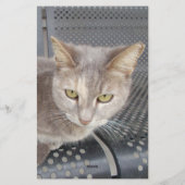 Kat Briefpapier (Achterkant)
