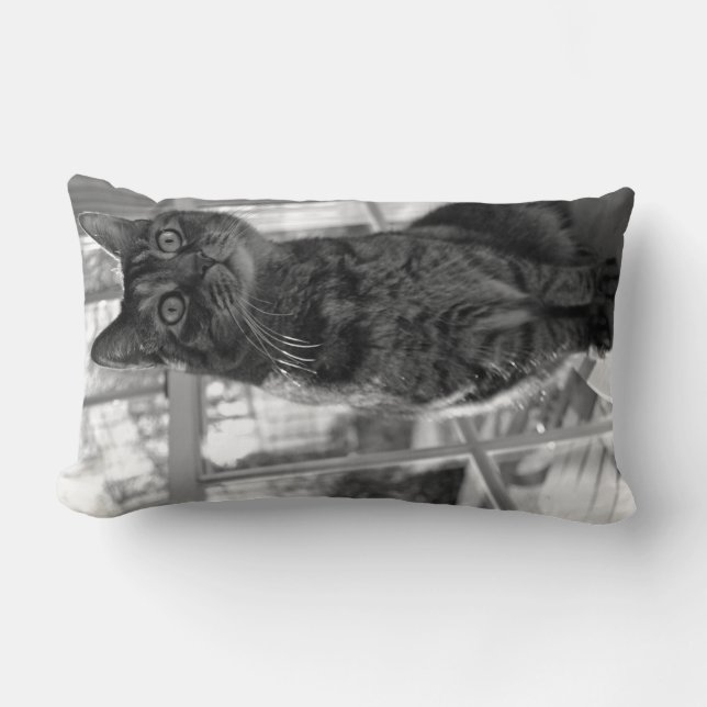  Kat Bright Eyes Pillow Kussen (Voorkant)