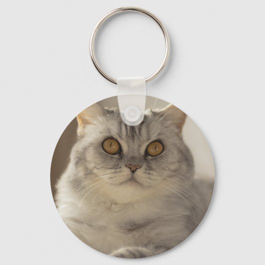 Kat, Brits kort haar, Feline Sleutelhanger (Voorkant)