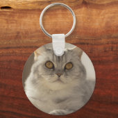 Kat, Brits kort haar, Feline Sleutelhanger (Voorkant)