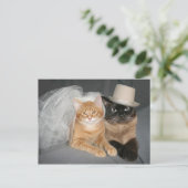 Kat bruid en bruidegom briefkaart (Staand voorkant)