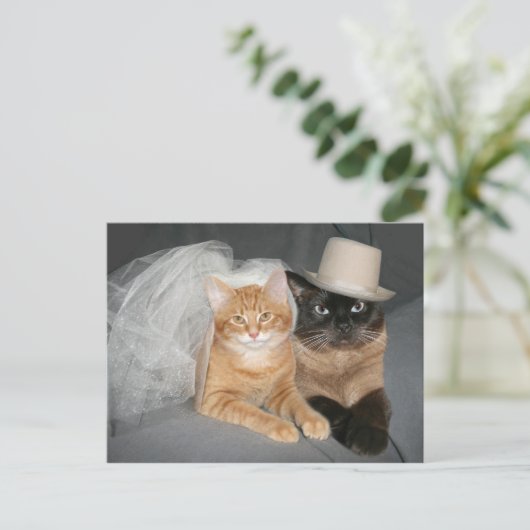 Kat bruid en bruidegom briefkaart (Staand voorkant)