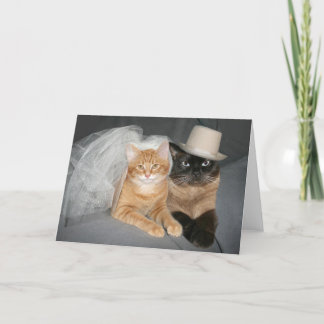 Kat bruid en bruidegom kaart