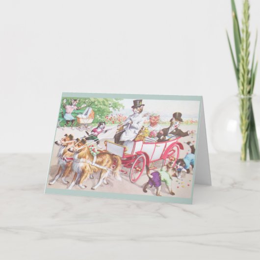 kat bruiloft Wenskaart Kaart (Voorkant)