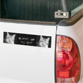 kat bumpersticker (Op Truck)