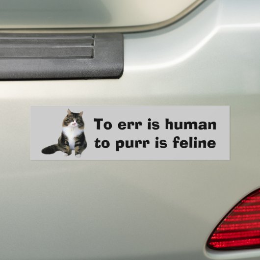 Kat-Bumpersticker Bumpersticker (Op auto)