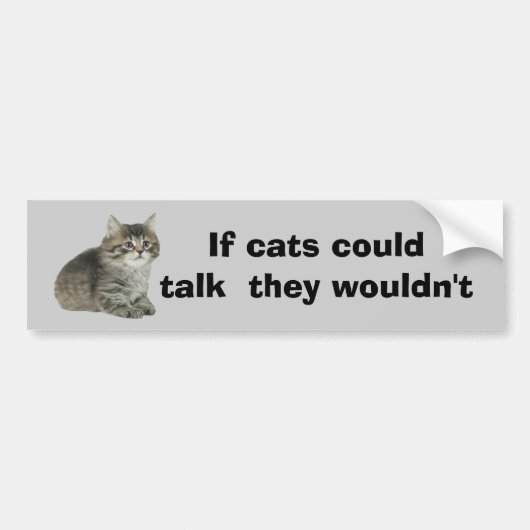 Kat-Bumpersticker Bumpersticker (Voorkant)