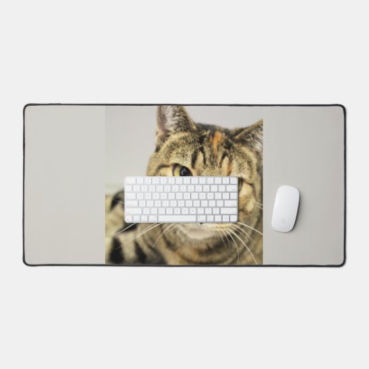 Kat Bureaumat (Keyboard & Muis)