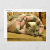 Kat Burrito Briefkaart (Voorkant / Achterkant)