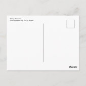 Kat Burrito Briefkaart (Achterkant)