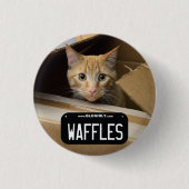 Kat Button (Voorkant)