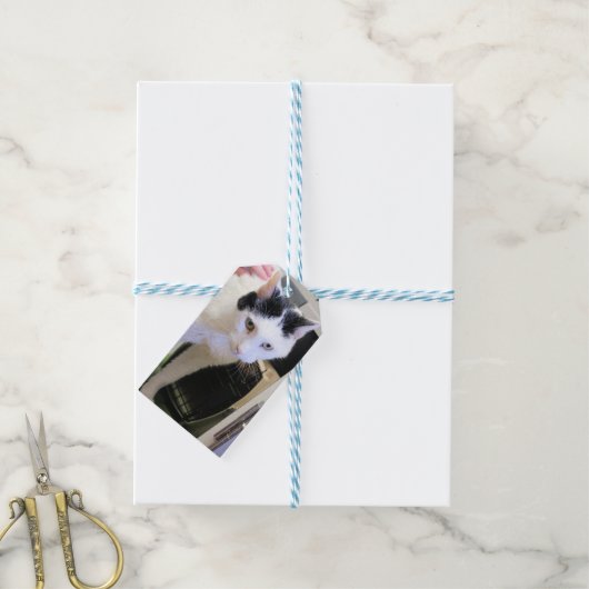 Kat Cadeaulabel (Met Touw)