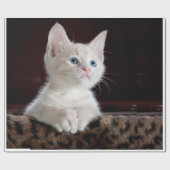 kat cadeaupapier (Vlak)