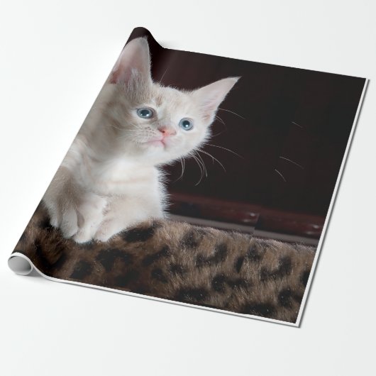 kat cadeaupapier (Uitgerold)